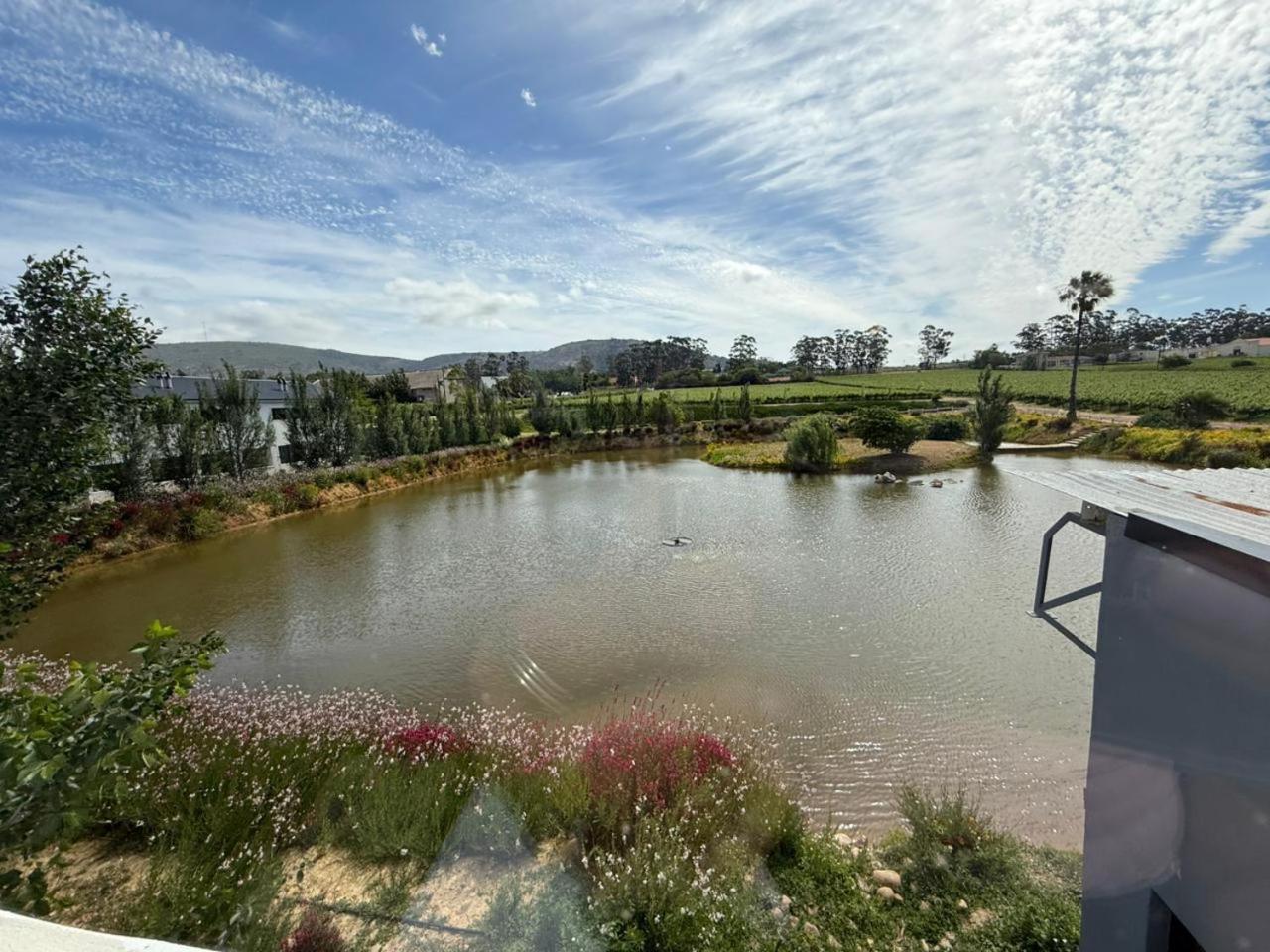 Middelplaas Paarl Guesthouse Extérieur photo