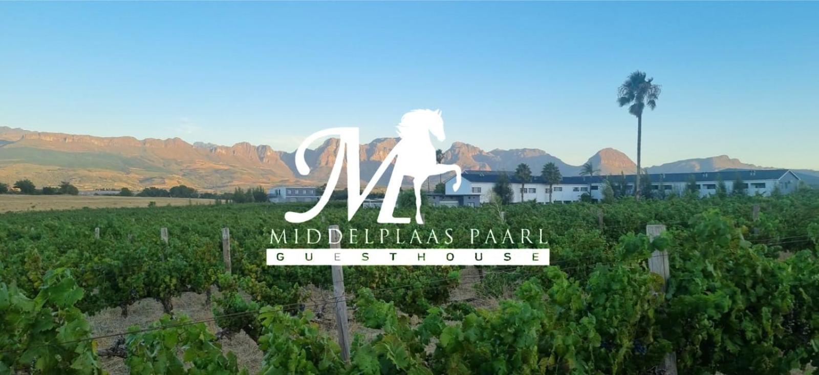Middelplaas Paarl Guesthouse Extérieur photo